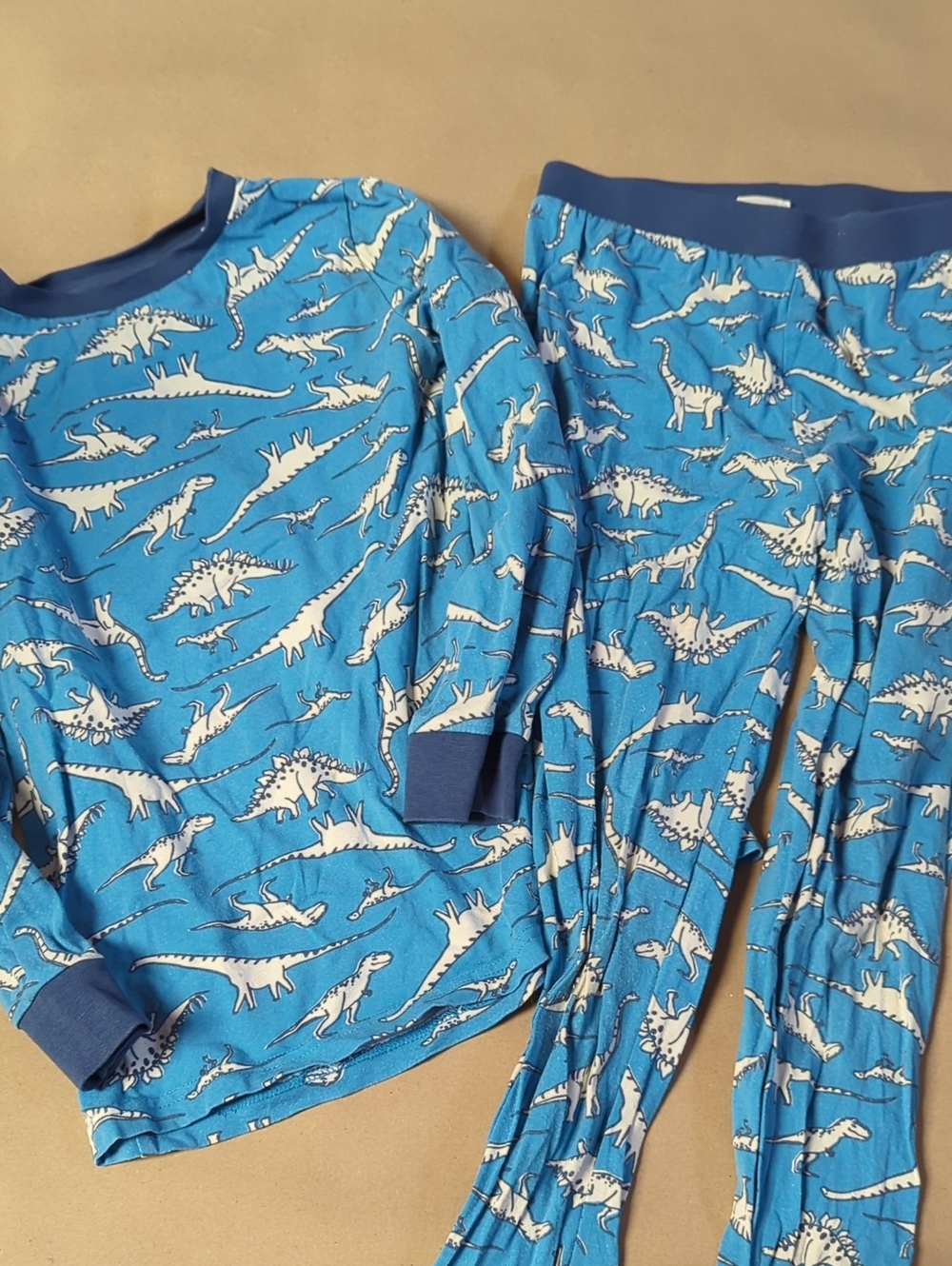 Children's Blue Dinosaur Pajama Set - Long Sleeve Top & Pants - 9 Years